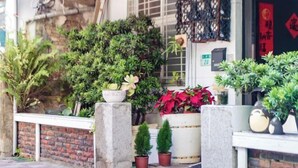 A building entrance with a brick wall, potted plants, and a metal gate. - We Share Hostel (Tainan)