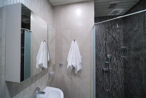 Regadera, secadora de cabello, toallas, jabón 