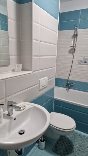 Shower, hair dryer, soap, toilet paper - Cozy studio in charming Brașov with WiFi access (Brașov)