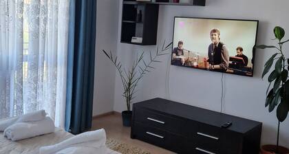 Cozy studio in charming Brașov with WiFi access