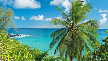 Apartment | 1 bedroom, Internet