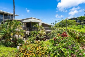 Apartment | 1 bedroom, Internet - Kapalua Bay Villas 32b4 (Lahaina)