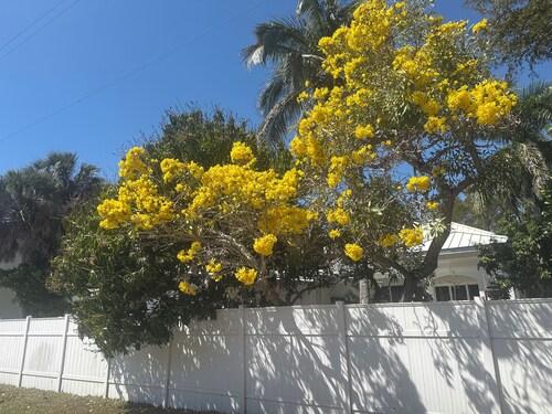 Charming stand alone Guest House in Naples, 2 blks to beach, 336 1/2 2nd Ave N