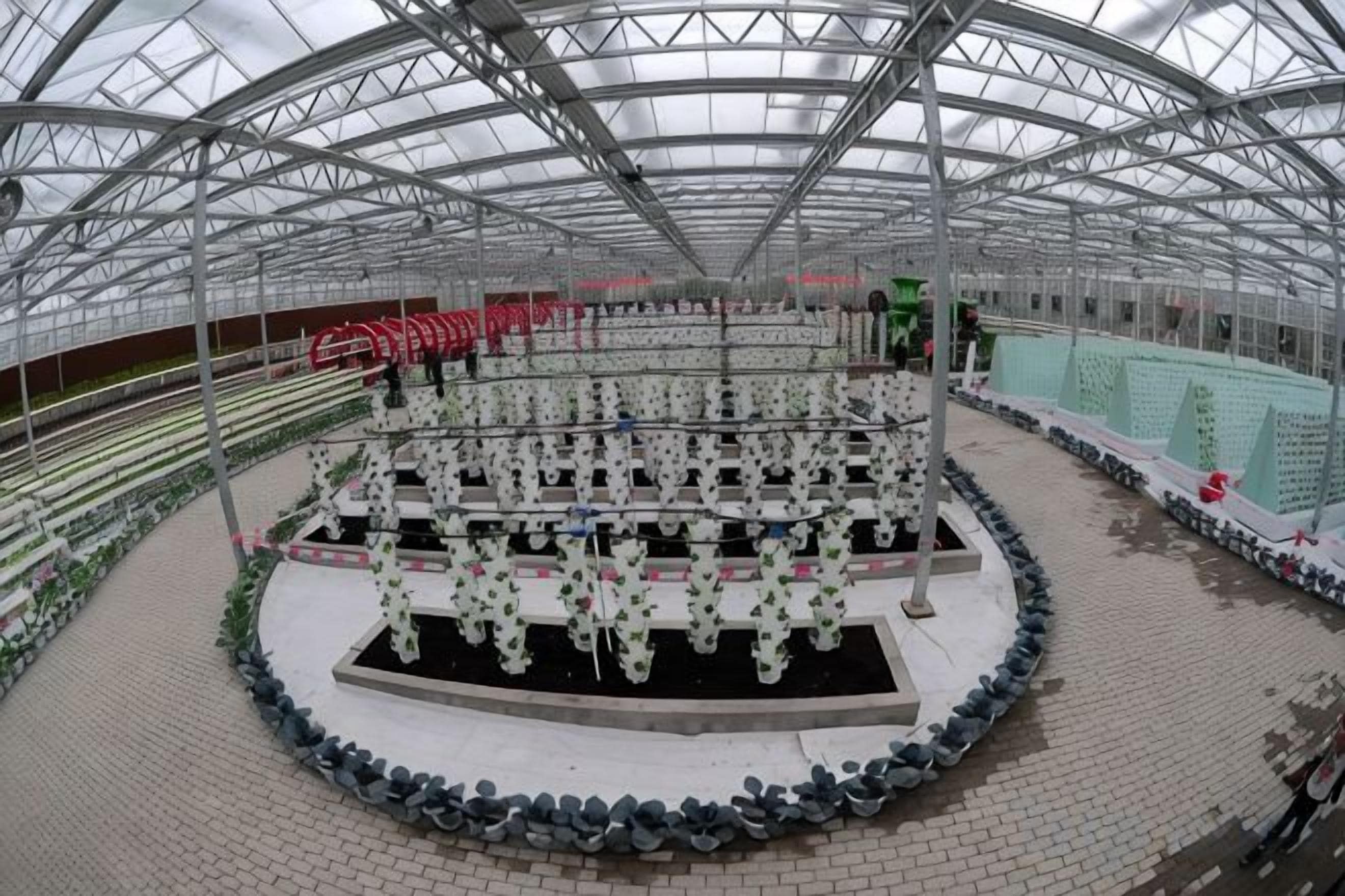 A greenhouse structure with a circular central area surrounded by rows of plants.