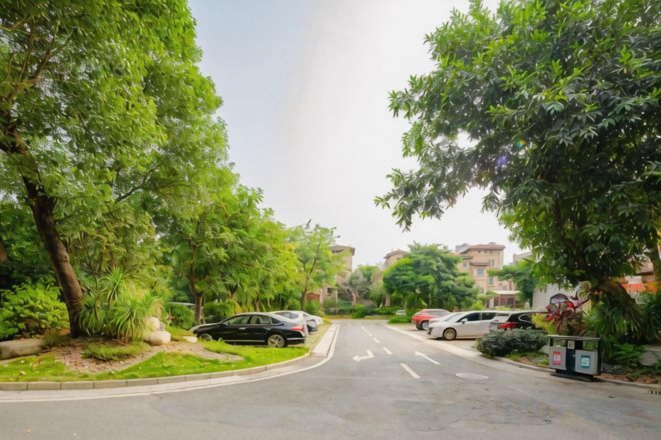 Una calle residencial con coches estacionados y abundante vegetación.