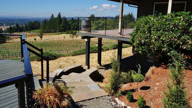 A modern house with a stone staircase leading to a covered outdoor area, surrounded by a vineyard and a view of distant mountains.