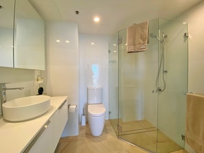 Shower, hair dryer, towels