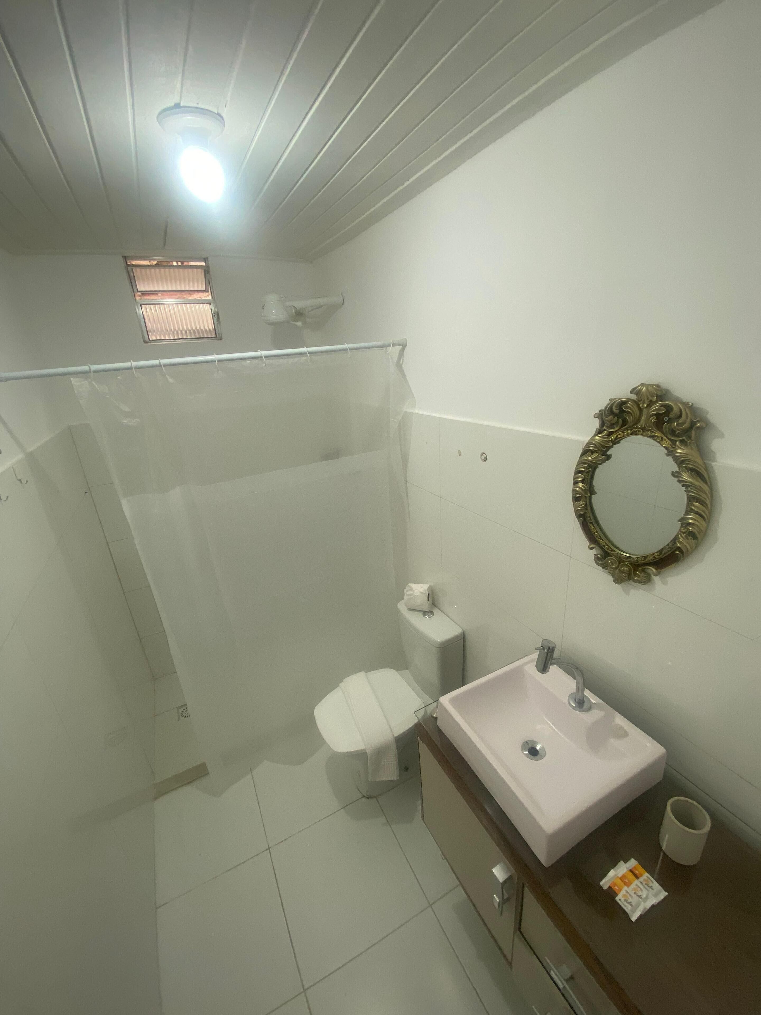 A bathroom with a shower, toilet, sink, and a mirror with an ornate frame.