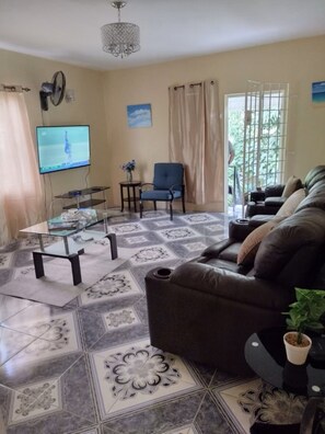Smart TV, video library, stereo