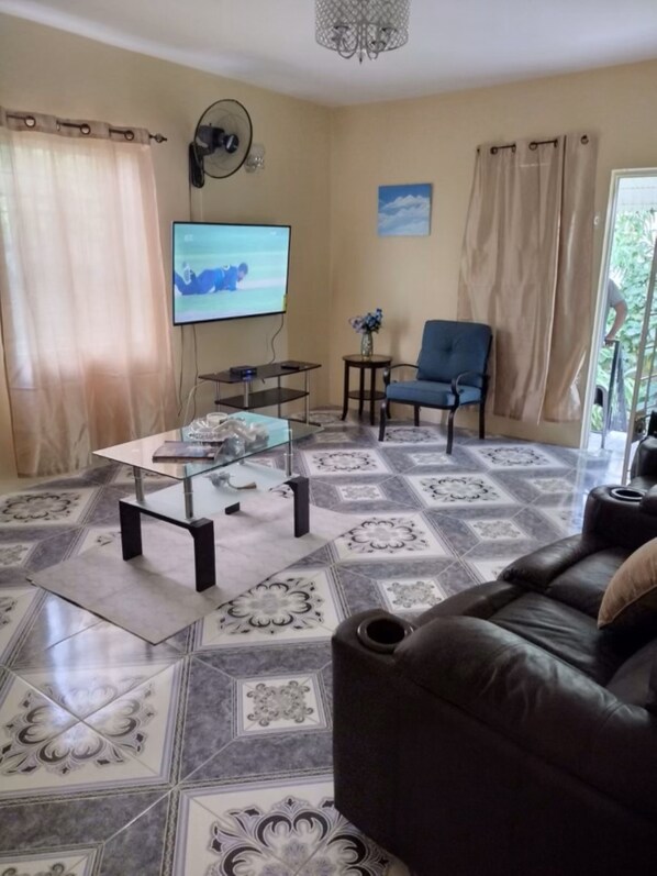 Smart TV, video library, stereo