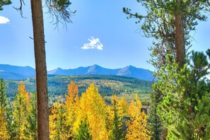 Un paysage montagneux aux arbres aux couleurs automnales, sous un ciel dégagé.