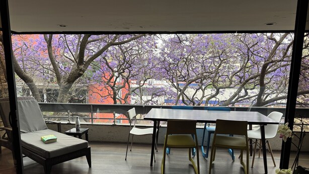 A balcony with a dining table and chairs, a cushioned chair, and a potted plant. - Quite and tasteful condo in Polanco, Mexico City (Ciudad de México)
