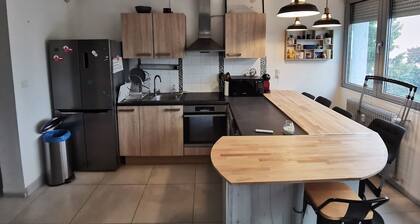 Duplex Lumineux vue sur le Château