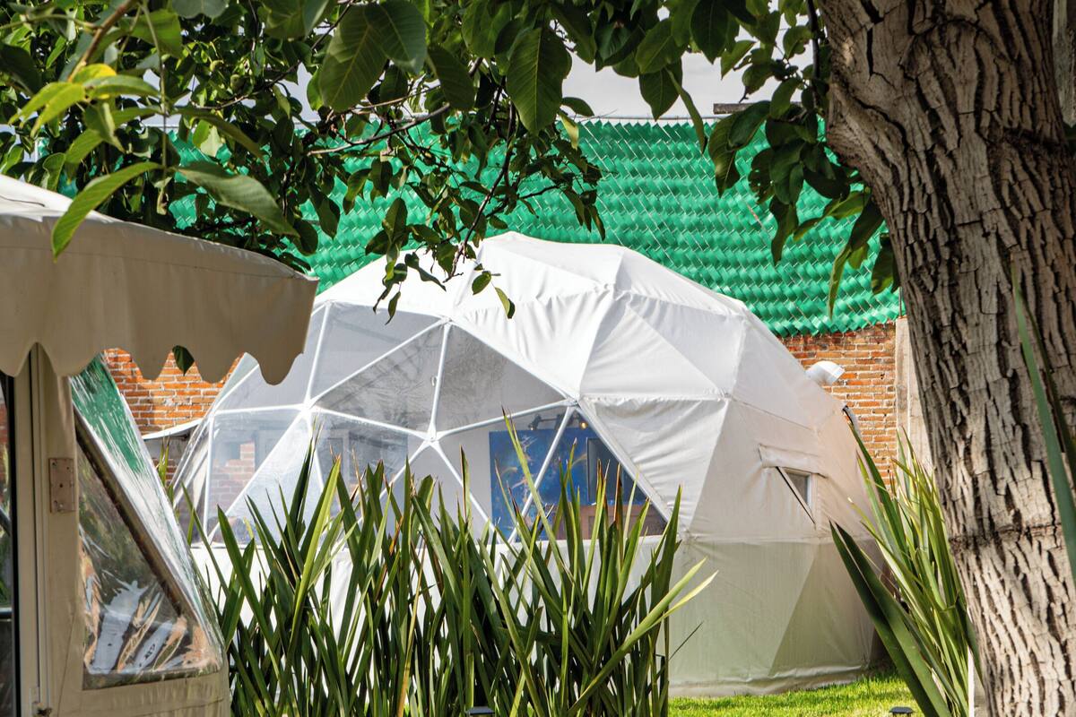 A tent-like structure with a geometric design, surrounded by a grassy area and a tree.
