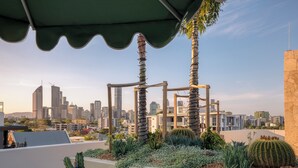 Un jardín en la azotea con cactus y el horizonte de la ciudad al fondo.
