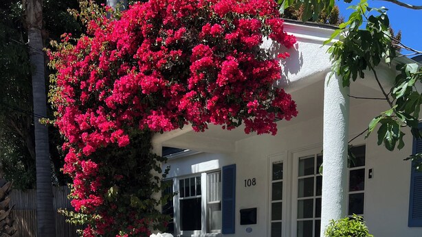 Ein Haus mit weißer Fassade, Hausnummer 108, und einer Veranda mit weißen Rosen.