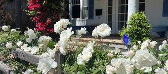 2 West Beach Cottages, 1 Block to Beach & Downtown, Harbor & Funk Zone