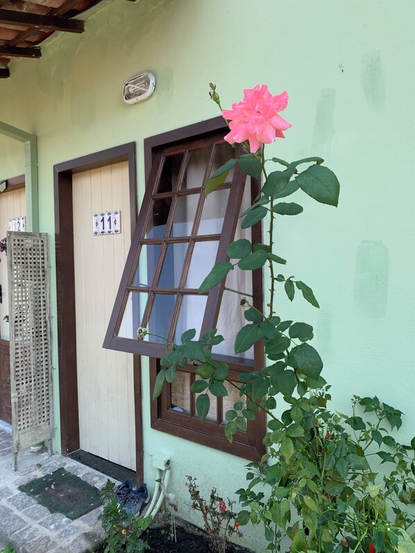 Detalle exterior