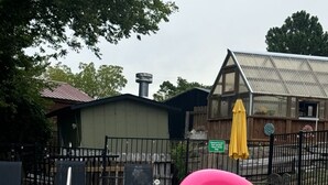 A swimming pool with a pink flamingo float. - RT 62 Motor Resort '50's Cabin w/Jacuzzi (Eureka Springs)