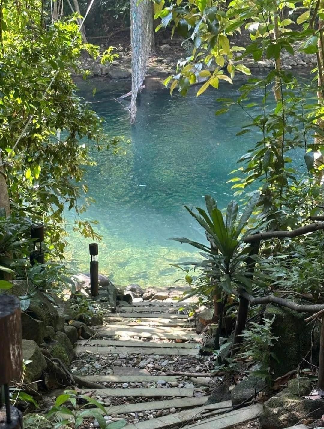 Un sendero de piedra que lleva a una masa de agua cristalina rodeada de abundante vegetación.