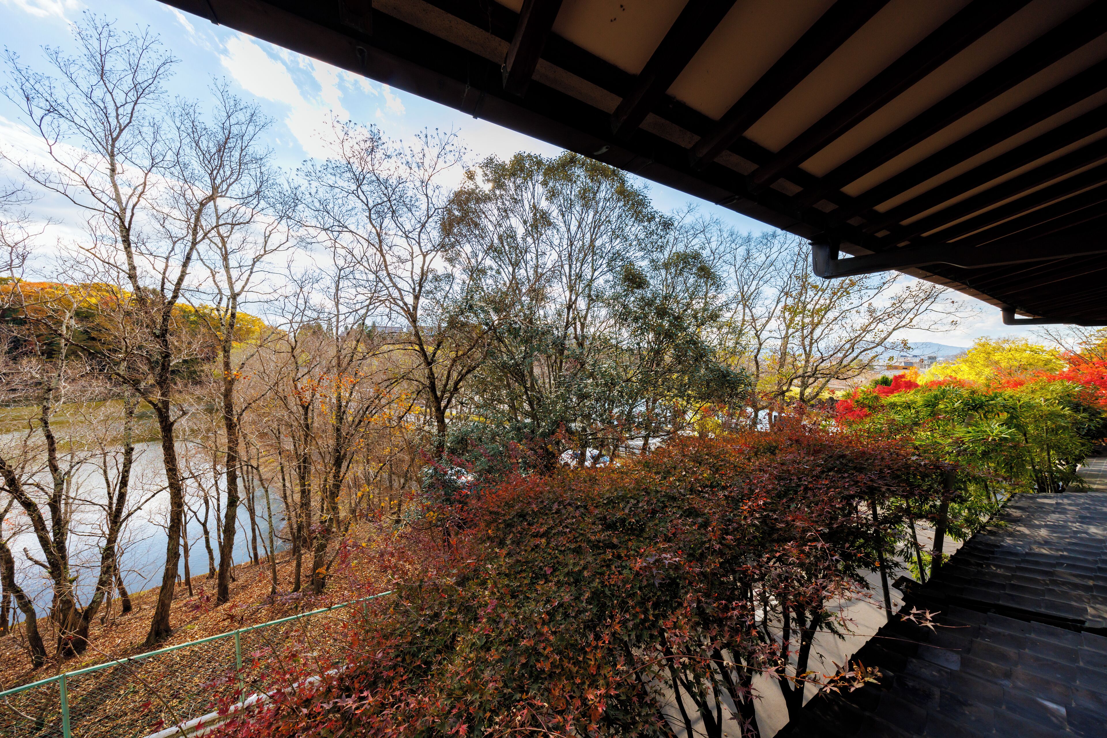 A view from under a roof, overlooking a river with trees and some bushes.