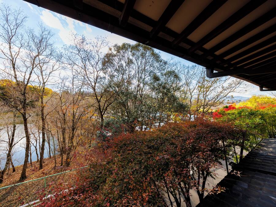 A view from under a roof, overlooking a river with trees and some bushes.