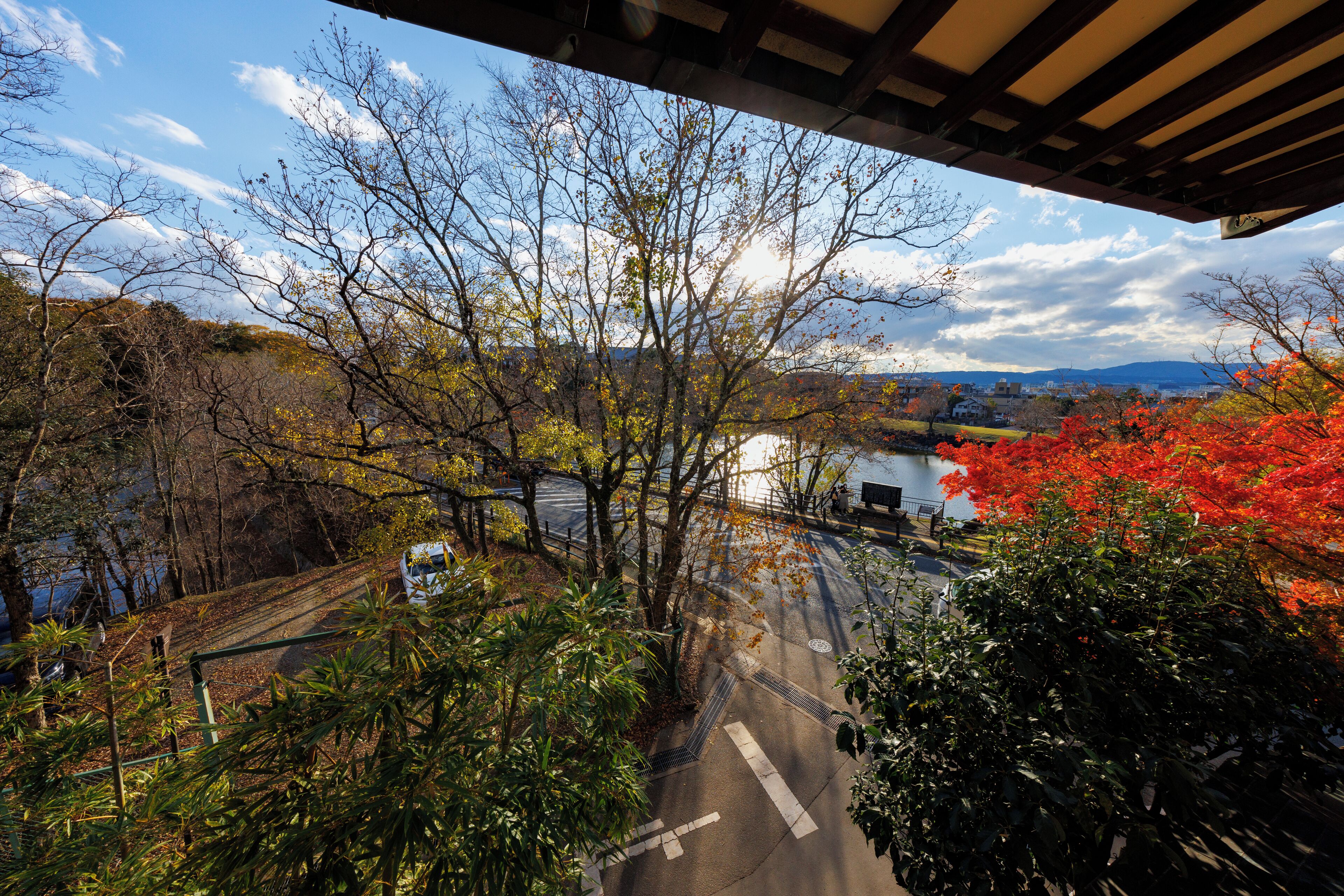A view from a covered area overlooking a road with trees and a body of water in the distance.