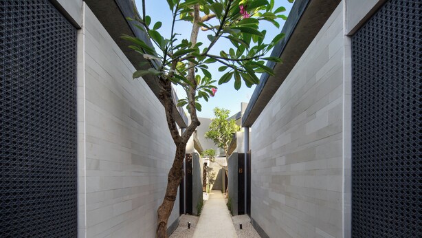 A narrow, covered corridor with a tree and a pathway.