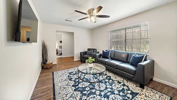 Fernseher, Arbeitsbereiche