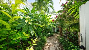 A stone pathway leading through a lush garden with various tropical plants and flowers.