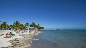 A beach with palm trees, umbrellas, and people relaxing.