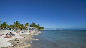 A beach with palm trees, umbrellas, and people relaxing.