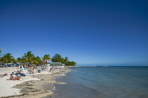 A beach with palm trees, umbrellas, and people relaxing. - Coco`s Poolside Retreat (Key West)