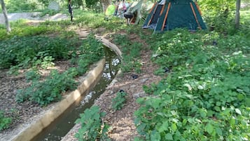 Basic Tent, Courtyard View | 1 bedroom, free WiFi