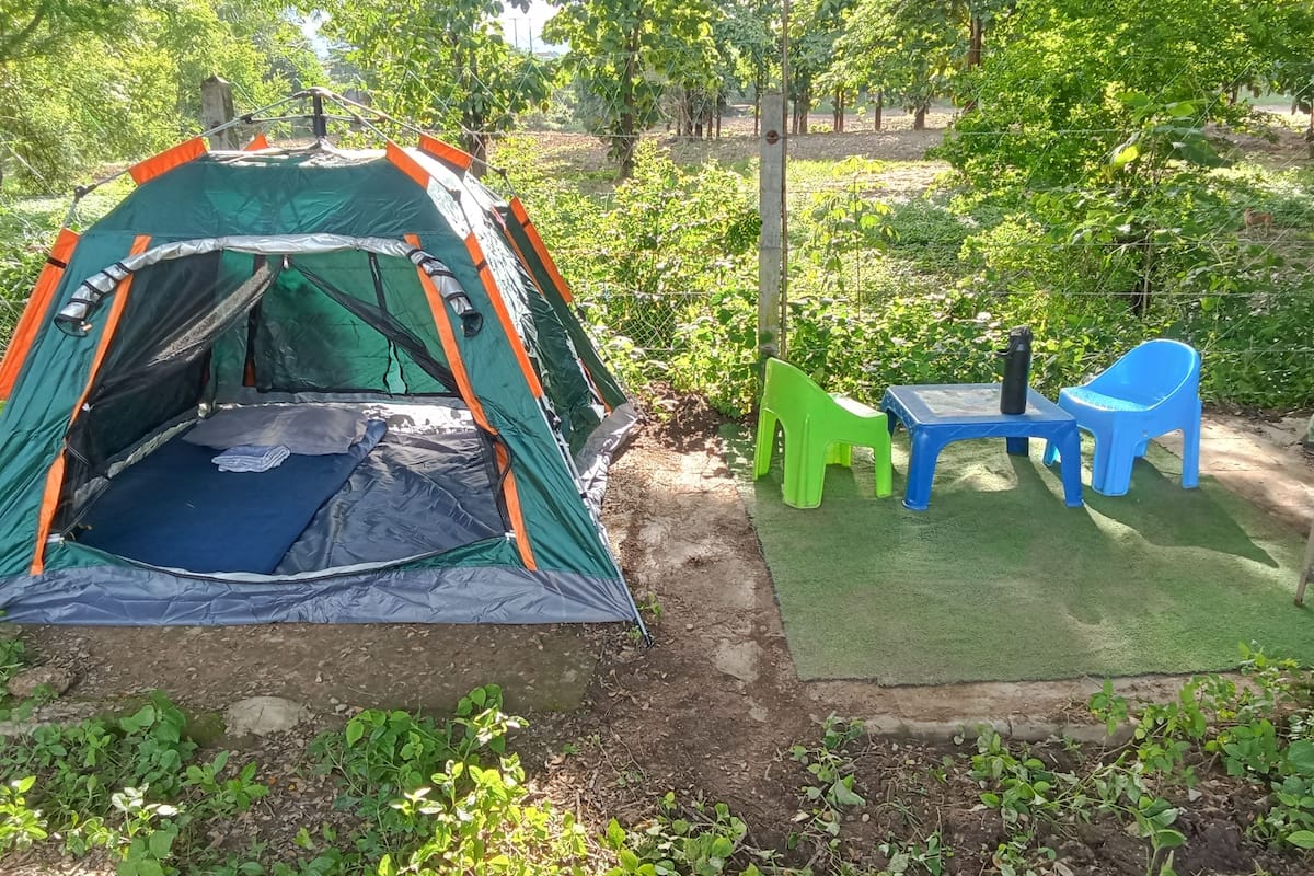 Basic Tent, Courtyard View