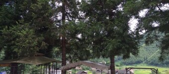 Shuangpai Wuchenglou Hotel