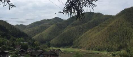 A rural landscape with terraced fields, a few houses, and a power line.