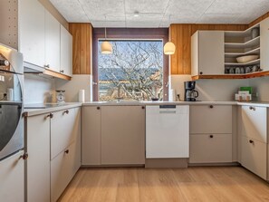 Fridge, dishwasher, cookware/dishes/utensils
