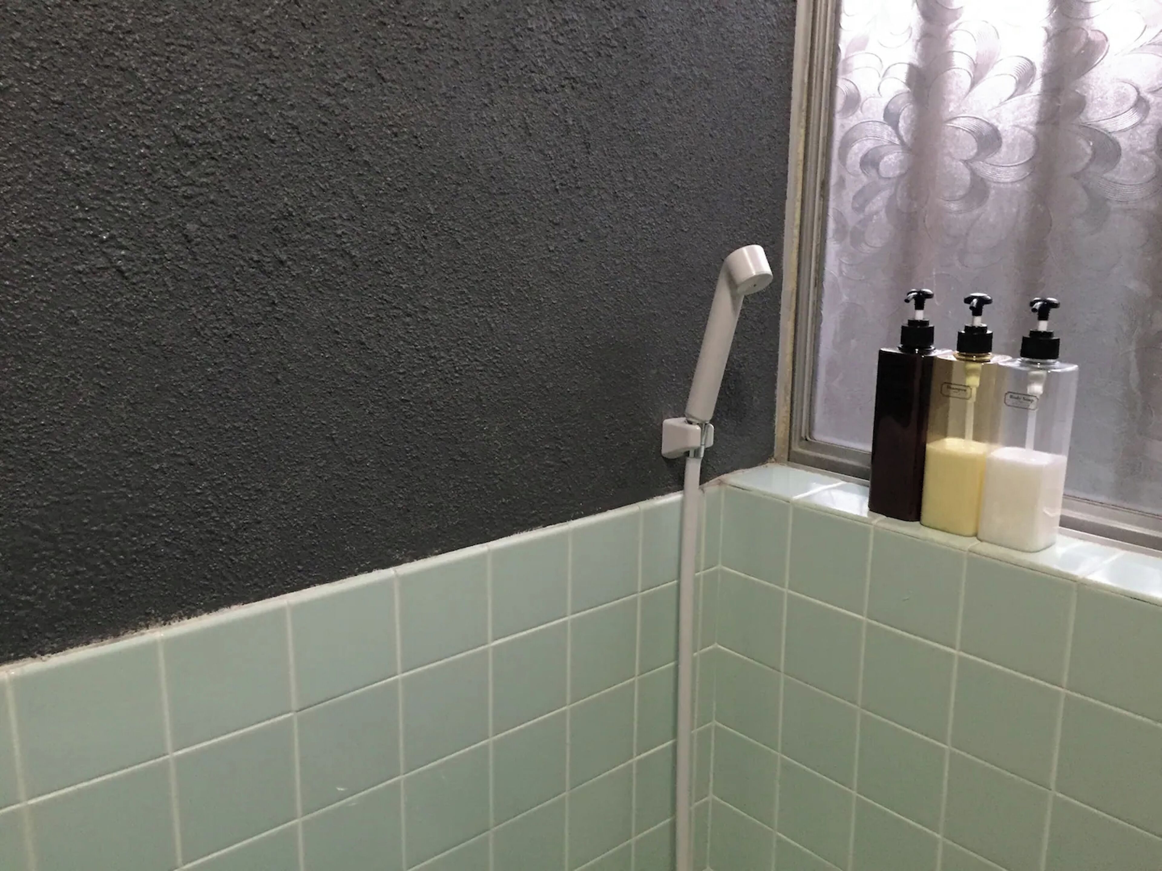 Hair dryer, shampoo, toilet paper