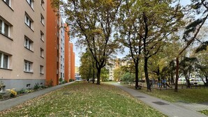 Puiden ja nurmikon reunustama polku johtaa rakennukseen, jonka julkisivu on punainen.