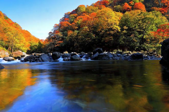 A river with rocks and trees reflecting in the water.