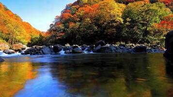 A river with rocks and trees reflecting in the water.
