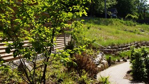 A pathway leading to a wooden building surrounded by lush greenery and a stone wall. - Residence Waldidyll FeWo Lieblingsplatz - modern vacation apartment in a quiet location (Sellin)