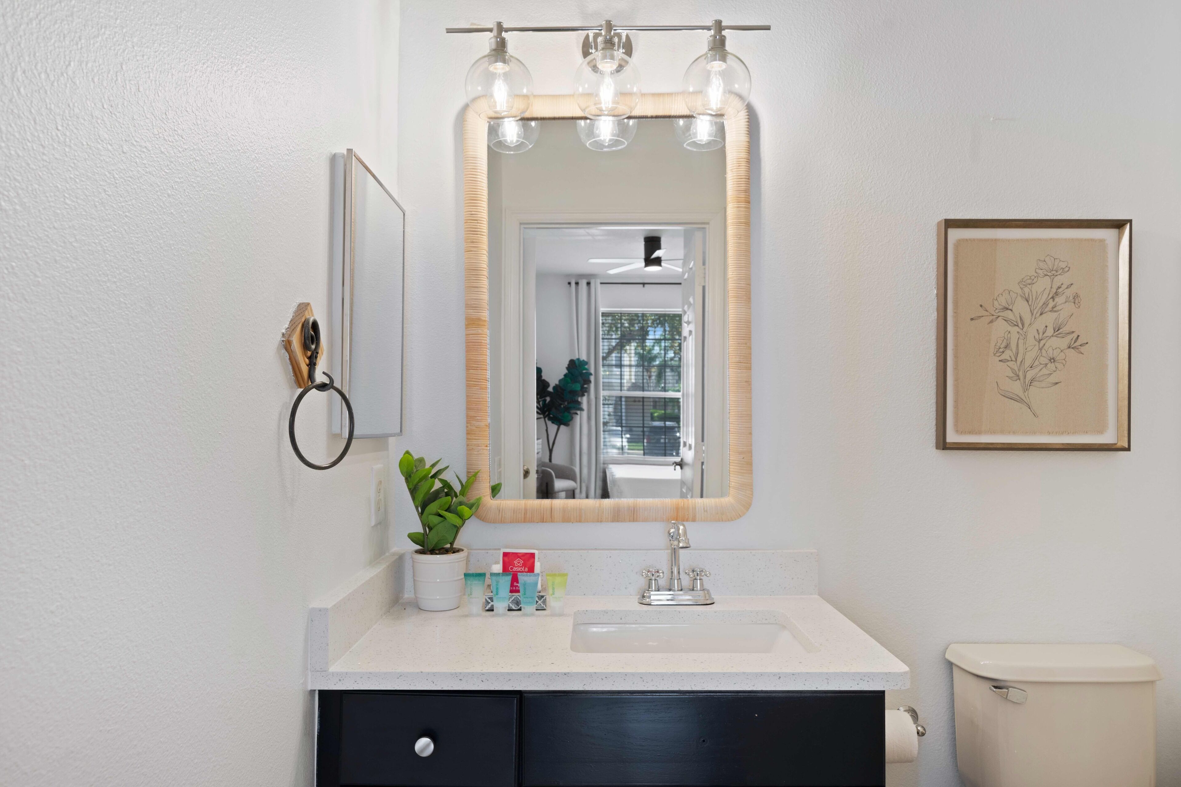 A bathroom with a white sink, a mirror with three lights, a framed floral artwork, and a potted plant.