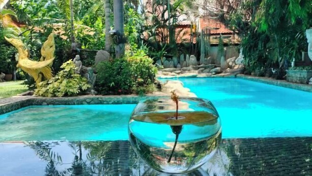 A clear glass bowl with a plant on a reflective surface, surrounded by a pool and greenery. - LePrive Resort (Pattaya)