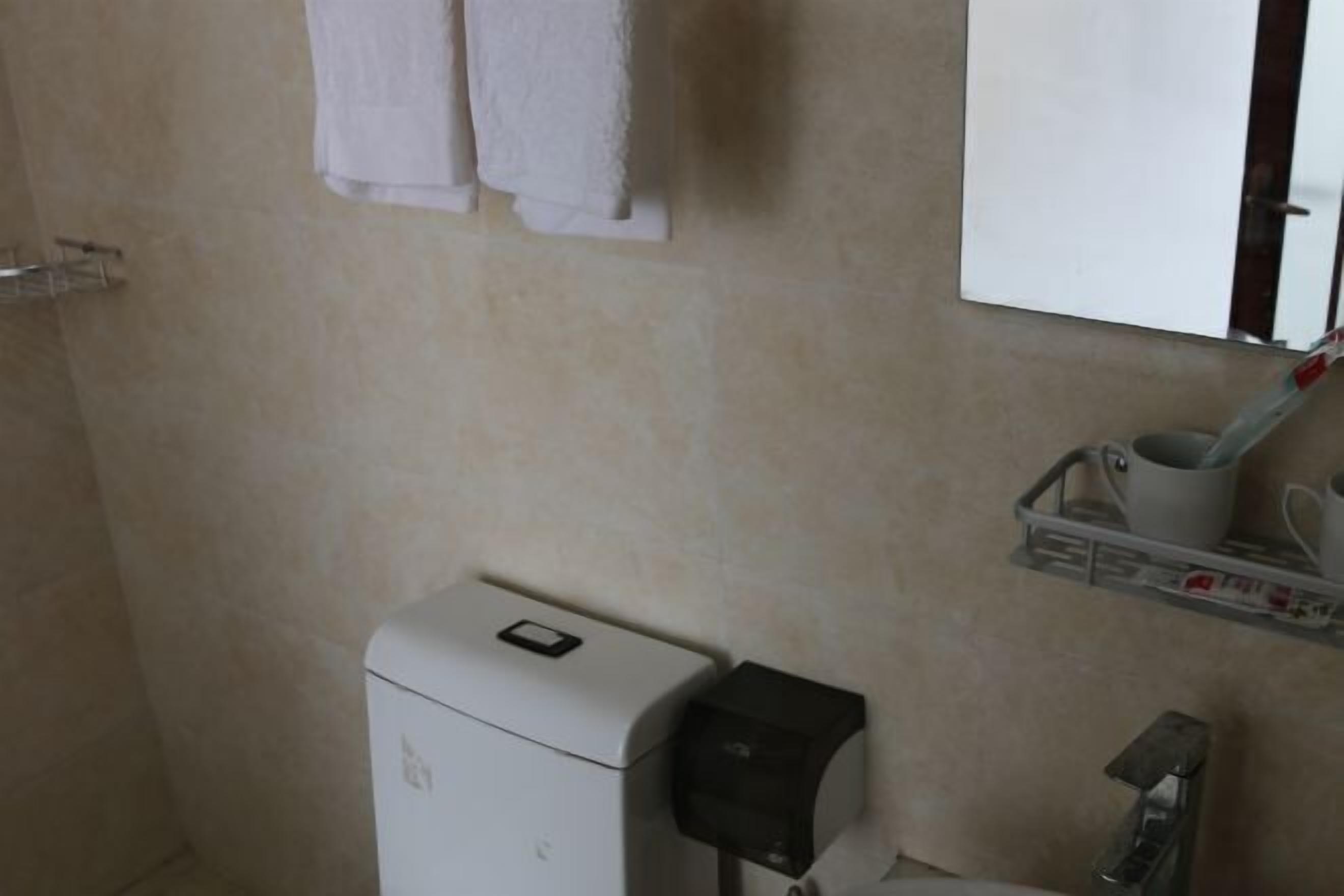 Een badkamer met een toilet, een handdroger, een handdoekhouder en een plankje met een beker en een tandenborstel.
