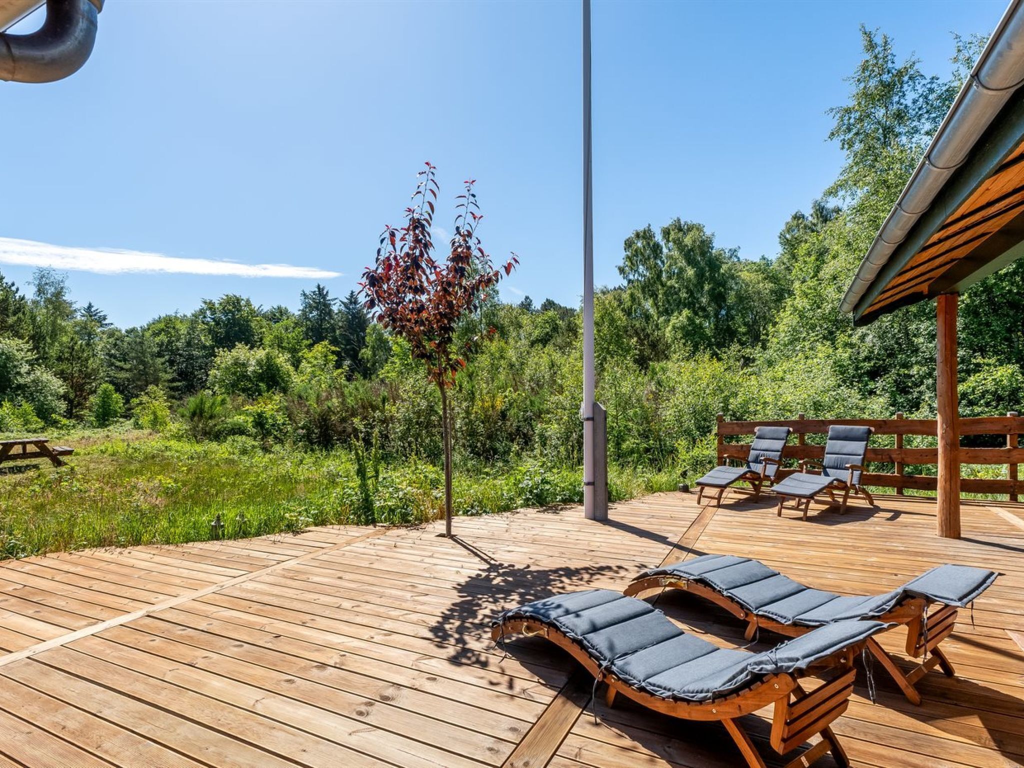 Une terrasse en bois avec des chaises longues, une table de pique-nique et un arbre.