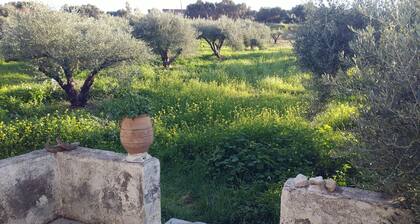 Villa Phyllia, a property with history - fifteen minutes from Iraklion airport.