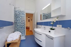 Shower, hair dryer, bidet, towels