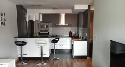 Apartamento "vikingo" en Catoira